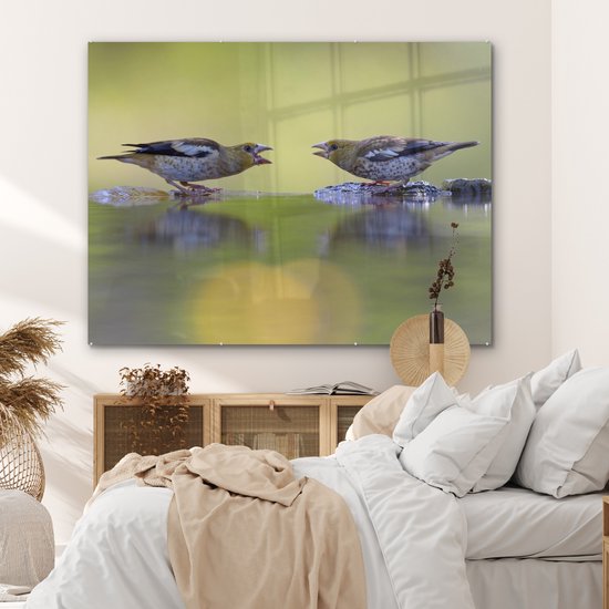 MuchoWow® Peinture sur verre 160x120 cm - Peinture sur verre acrylique - Bain d'oiseaux - Vogel - Water - Photo sur verre - Peintures
