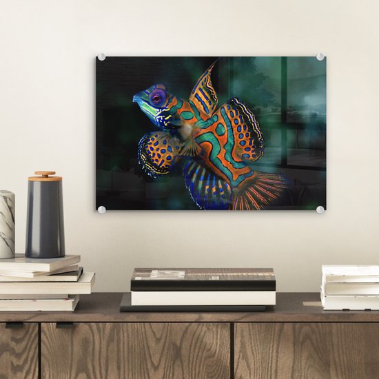 Peinture sur Verre - Poisson - Mer - Oranje - 30x20 cm - Peintures sur Verre Peintures - Photo sur Glas