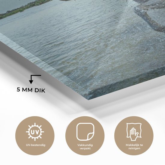 MuchoWow® Peinture sur verre 150x100 cm - Peinture sur verre acrylique - Cheval - Water - Goutte - Photo sur verre - Peintures