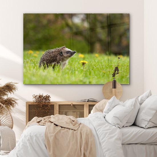 MuchoWow® Peinture sur verre 180x120 cm - Peinture acrylique sur verre - Hérisson - Bloem - Printemps - Photo sur verre - Peintures