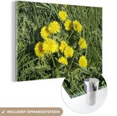 MuchoWow® Glasschilderij 150x100 cm - Schilderij acrylglas - Paardenbloem - Gras - Lente - Foto op glas - Schilderijen