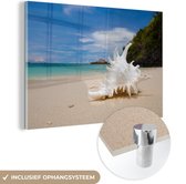 MuchoWow® Glasschilderij 90x60 cm - Schilderij acrylglas - Schelpen - Strand - Tropisch - Foto op glas - Schilderijen