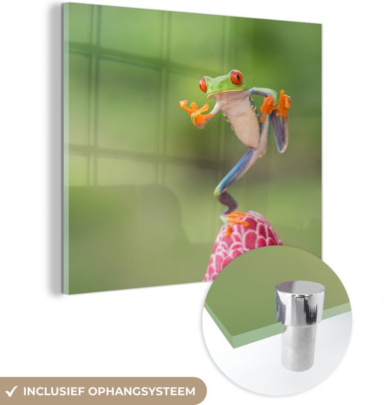 MuchoWow® Glasschilderij 90x90 cm - Schilderij acrylglas - De Roodoogmakikikker in Costa Rica - Foto op glas - Schilderijen