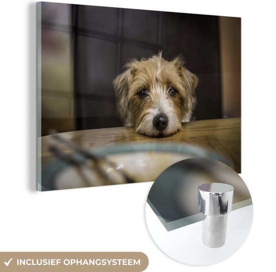 MuchoWow® Glasschilderij 90x60 cm - Schilderij acrylglas - Hond die eten wil hebben - Foto op glas - Schilderijen
