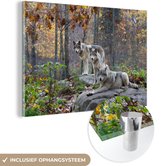 Peinture sur Verre - Loups - Rocher - Forêt - 90x60 cm - Peintures Acryliques - Photo sur Glas