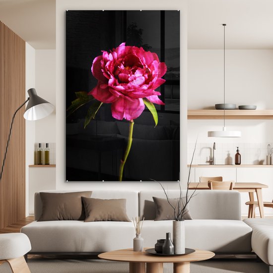 MuchoWow® Peinture sur Verre - Pivoine Rose Foncé - 100x150 cm - Peintures sur Verre Peintures - Photo sur Glas
