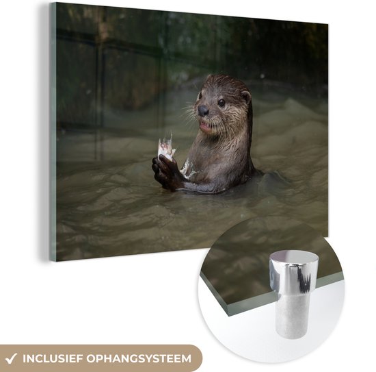 MuchoWow® Glasschilderij 30x20 cm - Schilderij acrylglas - Otter met voedsel in het water - Foto op glas - Schilderijen