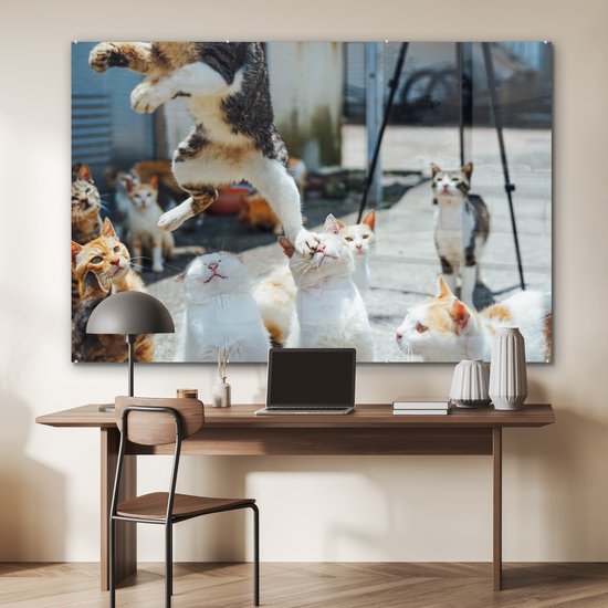 ® Glasschilderij 180x120 cm - Schilderij acrylglas - Komische kat die over andere katten heen springt - Foto op glas - Muurdecoratie woonkamer - Wanddecoratie slaapkamer - Schilderijen