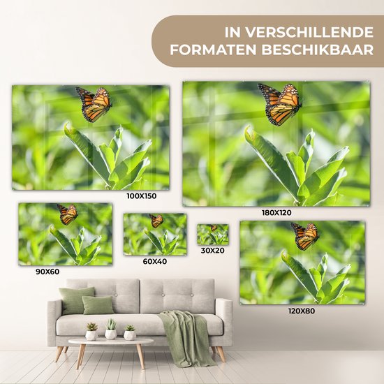 MuchoWow® Peinture sur verre 150x100 cm - Peinture sur verre acrylique - Papillon monarque volant - Photo sur verre - Peintures