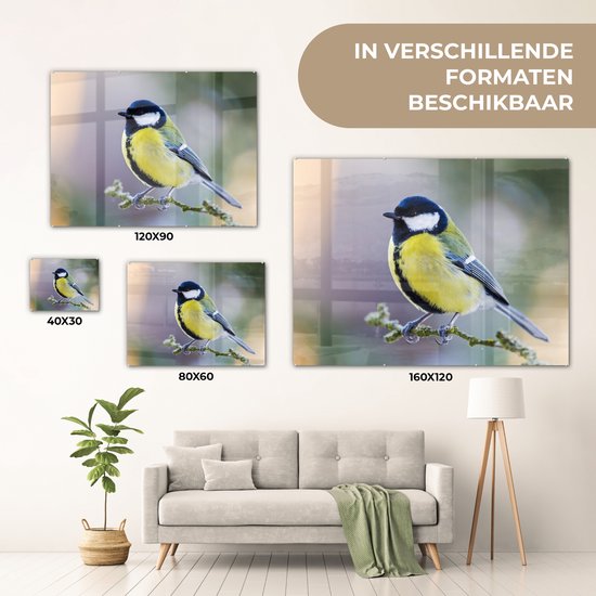 Peinture sur verre - Mésange charbonnière - Vogel - Branche - Mousse - Verre acrylique - Photo sur verre - 80x60 cm - Décoration murale verre - Peinture sur verre oiseaux - Peinture sur verre animaux - Décoration maison - Chambre