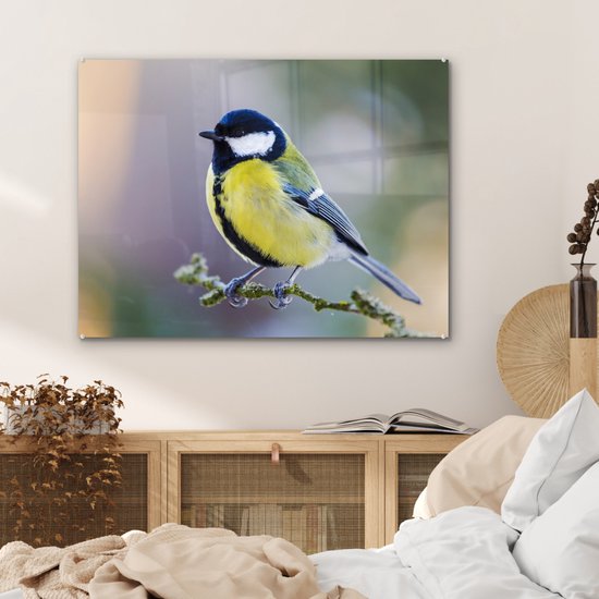 Peinture sur verre - Mésange charbonnière - Vogel - Branche - Mousse - Verre acrylique - Photo sur verre - 80x60 cm - Décoration murale verre - Peinture sur verre oiseaux - Peinture sur verre animaux - Décoration maison - Chambre