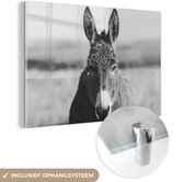 MuchoWow® Glasschilderij 60x40 cm - Schilderij acrylglas - Ezel - Zwart - Dieren - Wit - Foto op glas - Schilderijen