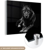 Glasschilderij - Foto op glas - Acrylglas - Dieren - Wolf - Zwart - Wit - Muurdecoratie - 160x120 cm - Wanddecoratie - Glasschilderij wolf - Muurdecoratie dieren