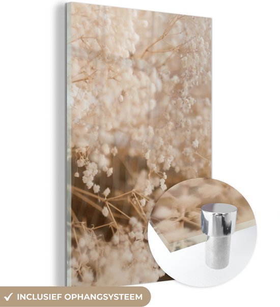 MuchoWow® Peinture sur Verre - Herbe de la Pampa - Plante - Nature - 80x120 cm - Peintures sur Verre Acrylique - Photo sur Glas