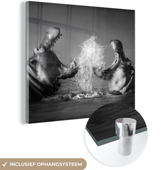 Glasschilderij - Foto op glas - Acrylglas - Dieren - Nijlpaard - Water - Zwart - Wit - Muurdecoratie - 20x20 cm - Wanddecoratie dieren - Schilderij glas