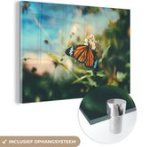 MuchoWow® Glasschilderij 90x60 cm - Schilderij acrylglas - Vlinder - Bloemen - Tuin - Foto op glas - Schilderijen