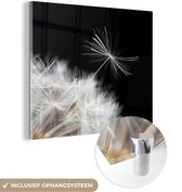 MuchoWow® Peinture sur Verre - Bloem - Pissenlit - Plante - 90x90 cm - Peintures sur Verre Peintures - Photo sur Glas