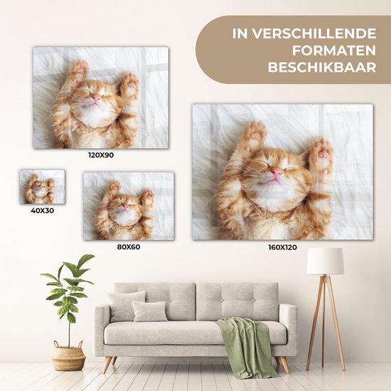 Peinture sur verre - Photo sur verre - Verre acrylique - Chat - Couverture - Chat - Chaton - Animaux - Peintures salon - 40x30 cm - Peinture sur verre - Décoration murale - Décoration murale