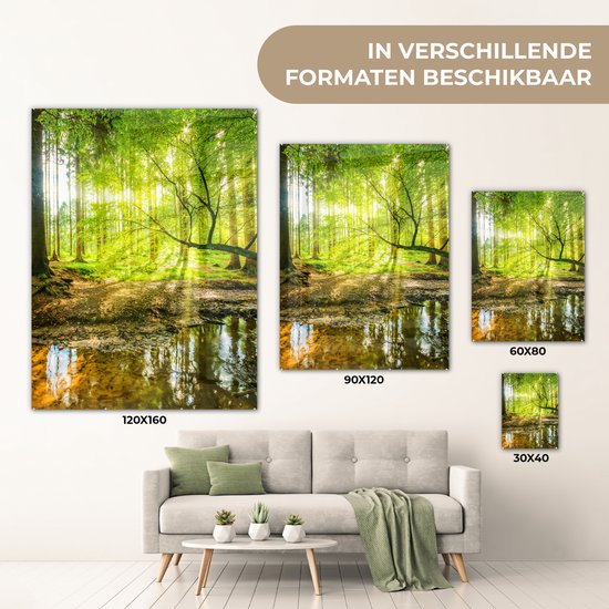 Glasschilderij - Acrylglas - Bos - Zon - Rivier - Wanddecoratie - Glasschilderij binnen - Foto op glas - 90x120 cm - Schilderij - Glasschilderij natuur