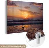 MuchoWow® Glasschilderij 60x40 cm - Schilderij acrylglas - Willet bij zonsondergang op het strand - Foto op glas - Schilderijen