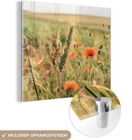 MuchoWow® Glasschilderij 20x20 cm - Schilderij acrylglas - Riet - Bloemen - Natuur - Foto op glas - Schilderijen