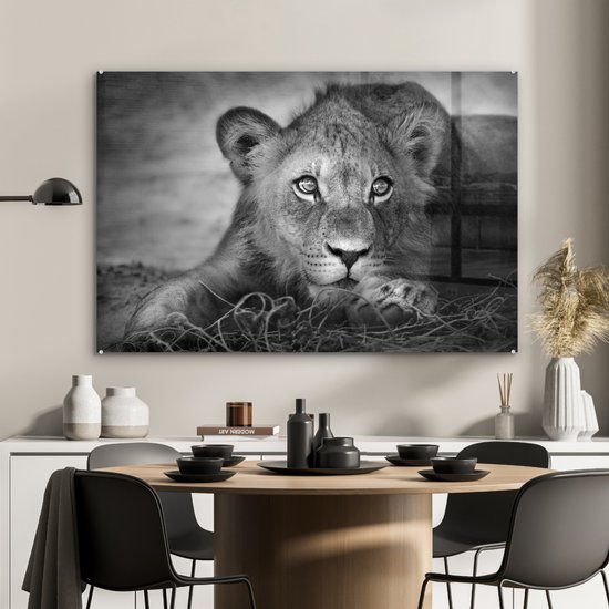 MuchoWow - Glasschilderij - Foto op glas - Wanddecoratie - Acrylglas - Wilde dieren - Leeuw - Natuur - Zwart - Wit - Woonkamer - 120x80 cm - Muurdecoratie dieren - Kamer decoratie - Schilderij glas