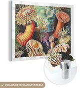 MuchoWow® Glasschilderij 40x30 cm - Schilderij acrylglas - Ernst Haeckel - Anemoon - Retro - Natuur - Planten - Zee - Foto op glas - Schilderijen
