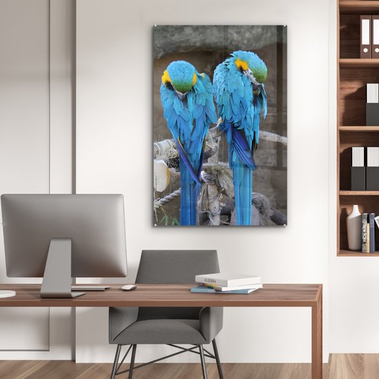 Deux aras en Glas 80x120 cm - Tirage photo sur Glas (décoration murale en plexiglas)