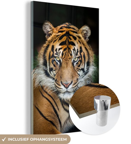 Tigre de Sumatra fond noir Glas 60x90 cm - Tirage photo sur Glas (Décoration murale en plexiglas)