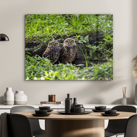 MuchoWow® Peinture sur verre 80x60 cm - Peinture sur verre acrylique - Deux chevêches des terriers devant leur tanière - Photo sur verre - Peintures