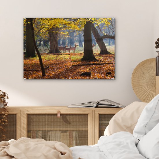 ® Glasschilderij 60x40 cm - Schilderij acrylglas - Herten in een bos in Denemarken - Foto op glas - Muurdecoratie woonkamer - Wanddecoratie slaapkamer - Schilderijen