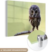 MuchoWow® Glasschilderij 90x60 cm - Schilderij acrylglas - Uil - Vogel - Bos - Foto op glas - Schilderijen