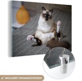 MuchoWow® Glasschilderij 120x80 cm - Schilderij acrylglas - Poes - Vacht - Bruin - Foto op glas - Schilderijen