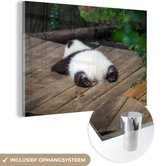 MuchoWow® Glasschilderij 120x80 cm - Schilderij acrylglas - Dier - Panda - Slapen - Foto op glas - Schilderijen
