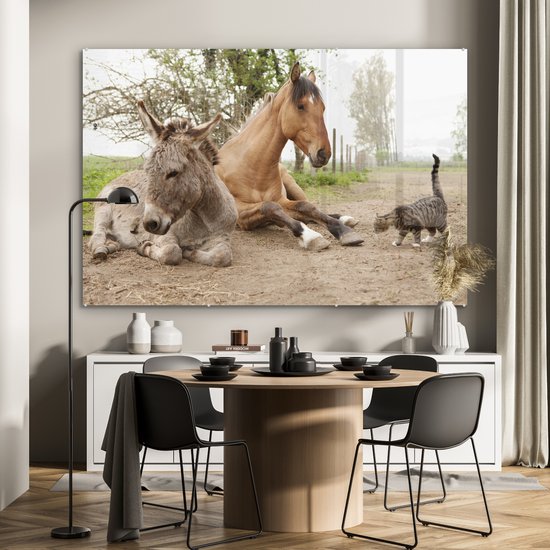 Peinture sur Verre - Âne Chat et Cheval sur Chemin de Terre - 180x120 cm - Peintures sur Verre Peintures - Photo sur Glas
