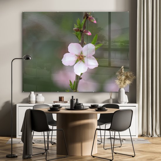 MuchoWow® Peinture sur verre - Bloem d'amandier - 160x120 cm - Peintures sur verre acrylique - Photo sur Glas
