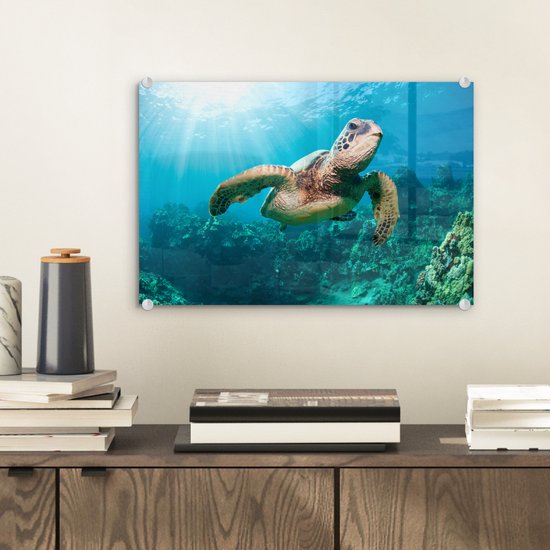 MuchoWow® Glasschilderij 30x20 cm - Schilderij acrylglas - Zwemmende schildpad fotoafdruk - Foto op glas - Schilderijen
