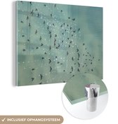 MuchoWow® Peinture sur verre 80x60 cm - Peinture sur verre acrylique - Vogel - Water - Animaux - Photo sur verre - Peintures