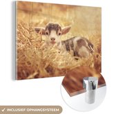 MuchoWow® Glasschilderij 120x80 cm - Schilderij acrylglas - Geit - Stro - Portret - Foto op glas - Schilderijen