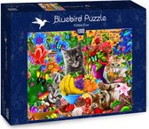Kitten Fun Bluebird - 1000 stukjes - Legpuzzel