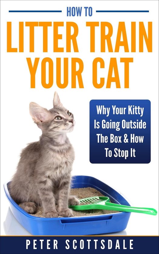 How To Litter Train Your Cat Why Your Kitty Is Going Outside The Box