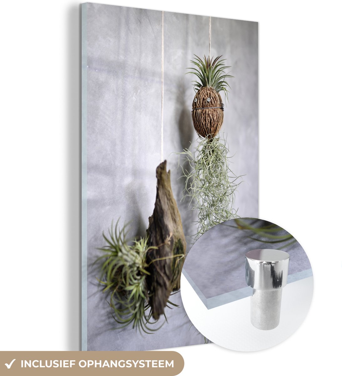 ® Glasschilderij 60x90 cm - Schilderij acrylglas - Hangplanten in de vorm van een ananas - Foto op glas - Muurdecoratie woonkamer - Wanddecoratie slaapkamer - Schilderijen