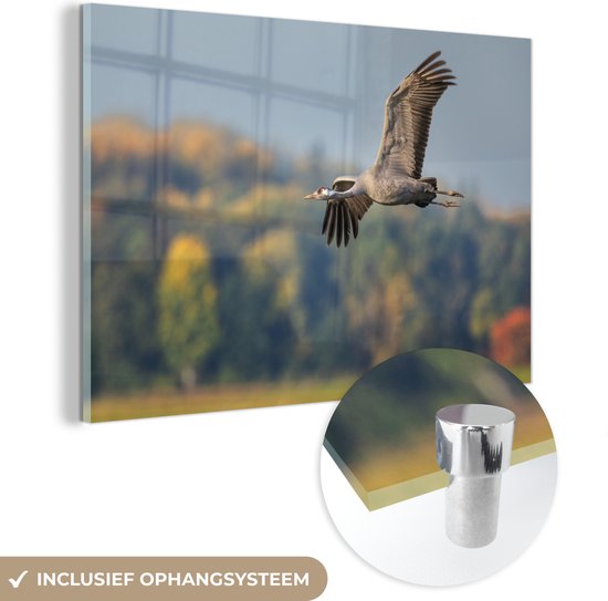 MuchoWow® Glasschilderij 150x100 cm - Schilderij acrylglas - Europese kraanvogel met een kleurrijk landschap op de achtergrond - Foto op glas - Schilderijen