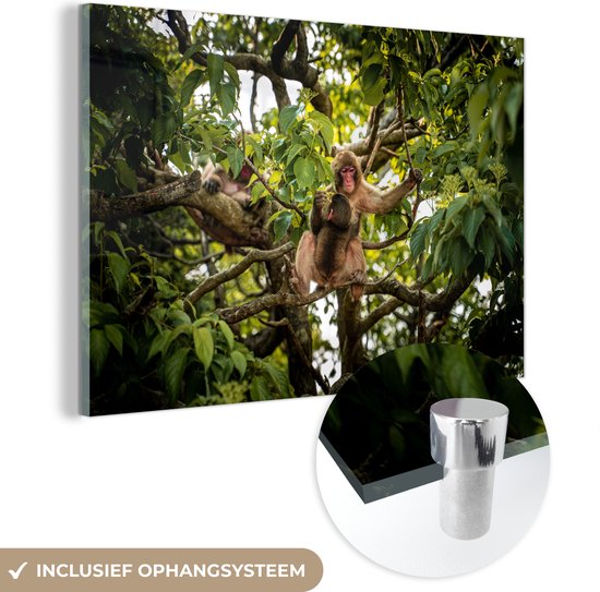 MuchoWow® Glasschilderij 60x40 cm - Schilderij acrylglas - Aap - Jungle - Bladeren - Dieren - Bos - Foto op glas - Schilderijen