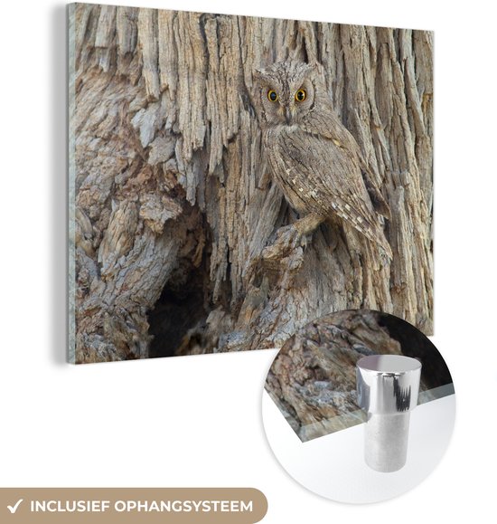 MuchoWow® Peinture sur Verre - Hibou Camouflé - 80x60 cm - Peintures sur Verre Acrylique - Photo sur Glas