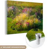MuchoWow® Glasschilderij 30x20 cm - Schilderij acrylglas - Siergras met gekleurde bloemen - Foto op glas - Schilderijen