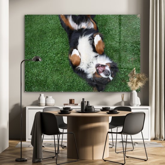 MuchoWow® Peinture sur verre 150x100 cm - Peinture sur verre acrylique - Bouvier Berner allongé confortablement sur l'herbe - Photo sur verre - Peintures