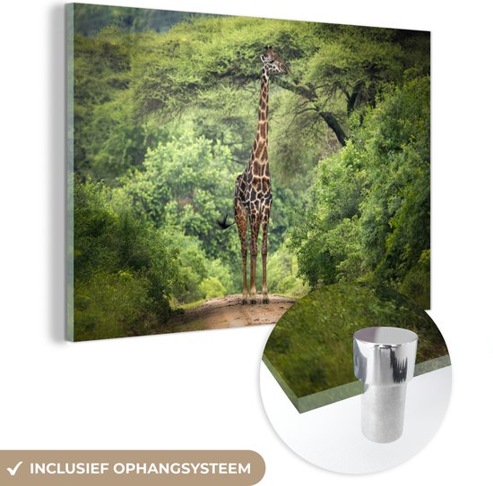 MuchoWow® Glasschilderij 90x60 cm - Schilderij acrylglas - Giraffe - Natuur - Bomen - Foto op glas - Schilderijen