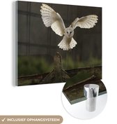 MuchoWow® Glasschilderij 80x60 cm - Schilderij acrylglas - Kerkuil stijgt op - Foto op glas - Schilderijen