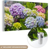 MuchoWow® Glasschilderij 40x20 cm - Schilderij acrylglas - Verschillende hortensia bloemen - Foto op glas - Schilderijen